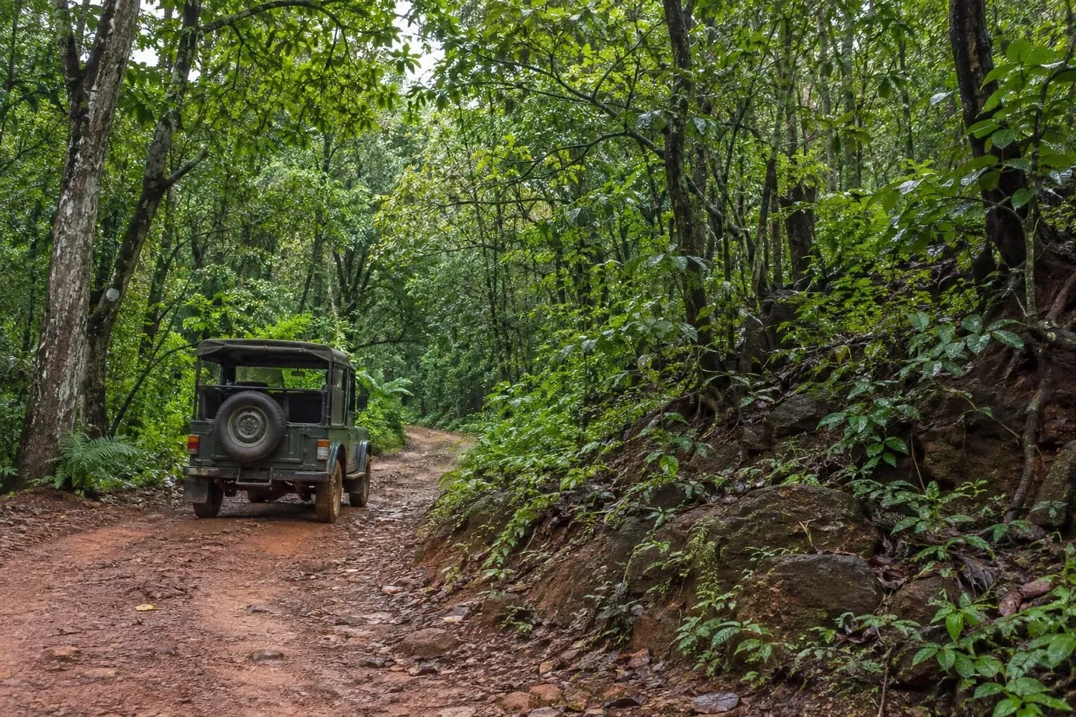 Laterite forest track in Netravali