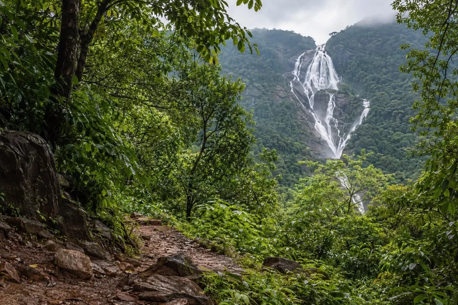 Forest trail with a distant waterfall